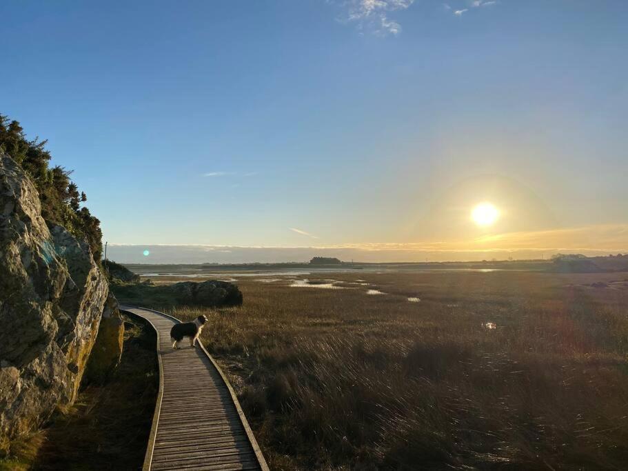 Entire Guest Suite In Four Mile Bridge, Rhoscolyn Valley Buitenkant foto