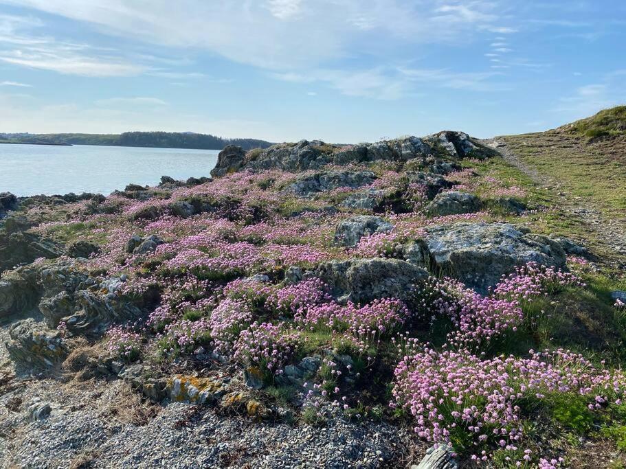 Entire Guest Suite In Four Mile Bridge, Rhoscolyn Valley Buitenkant foto